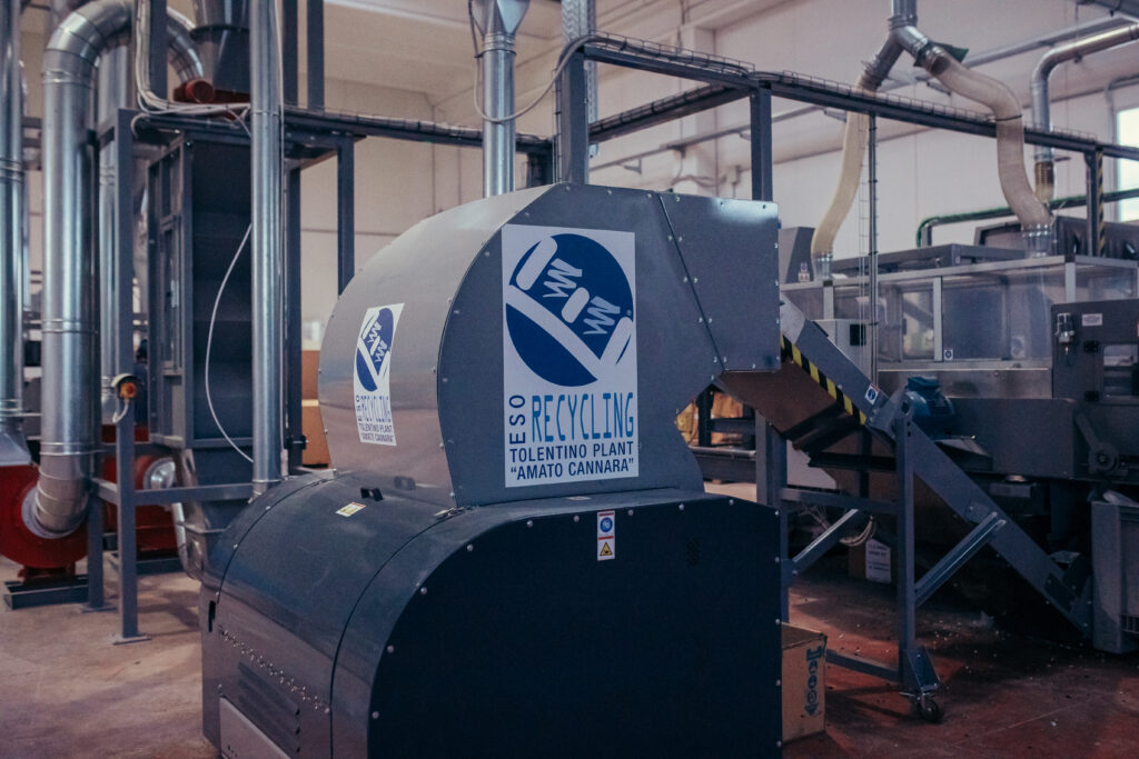 Amato Cannara Plant • Tolentino Macerata Marche 2